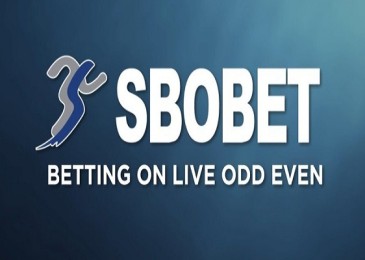 Обзор БК SboBet.com — букмекерская контора Sbo Bet.com